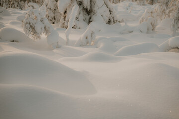 Lapland in the snow 
Beautiful landscape snow