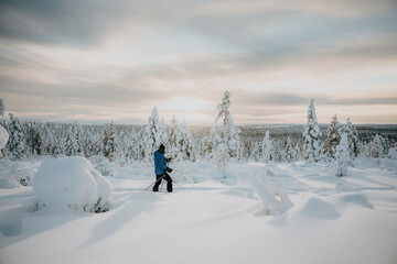 Lapland in the snow 
Beautiful landscape snow