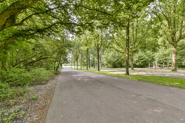 A peaceful pathway meandering through a vibrant forest filled with tall trees and lush greenery, inviting serenity and nature's beauty.