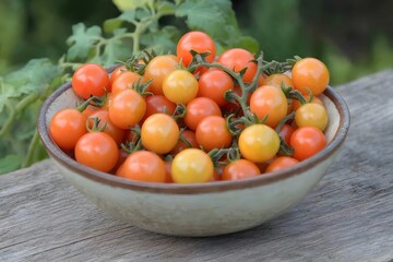 Freshly Harvested Orange and Yellow Cherry Tomatoes in Bowl