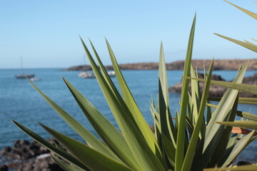 Natura salvaje © Luy