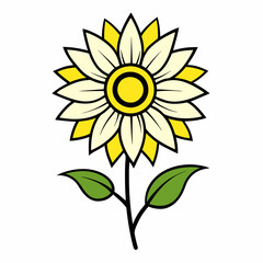 sunflower isolated on white background