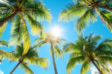 Green palm tree branches blue sky background, bright shiny sun rays, palm leaves, sunlight glow, beautiful nature, sea beach landscape, summer holidays