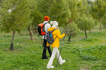 Hikers walking in forest using trekking poles and backpacks