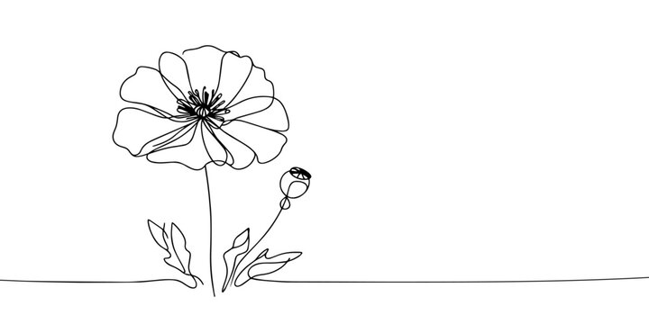 recommend clip art: Poppy flowers in continuous line art drawing style. Doodle floral border with two flowers blooming among grass. Vector illustration