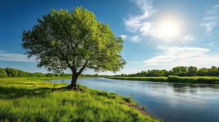 Obraz premium A single