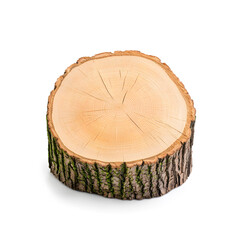 Tree Stump side view isolated on white background