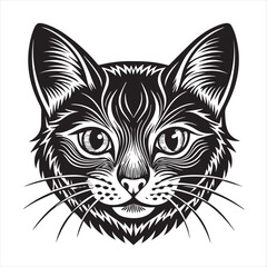 Fototapeta premium cute cat head
