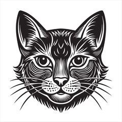 Fototapeta premium cute cat head