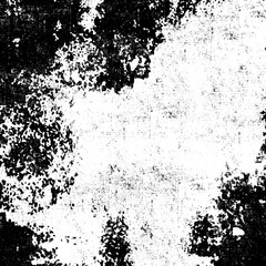 High-detailed abstract grunge black and white distressed texture background. Press-quality texture to use as overlay and blend, perfect for adding depth and character to your designs.