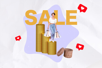 Creative sketch art collage of happy girl shopaholic hold packages purchase stand coin payment...