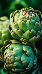 Fototapeta premium Fresh, Vibrant Green Artichokes Growing in a Lush Garden, Detailed Close-Up of Healthy Produce