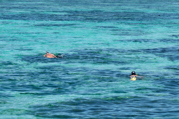 Two snorkelers enjoy swimming along the coral reef in the turquoise waters of the Indian Ocean in Mauritius