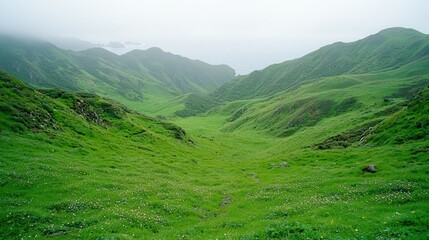 Naklejka premium A vast, verdant canvas of green, a boundless grassland landscape, stretching towards the distant horizon, bathed in sunlight and dotted with the gentle movement of wildflowers. 