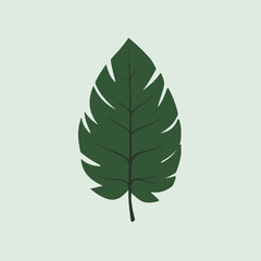 A Flat-Style Fresh green leaf on a Plain White Background