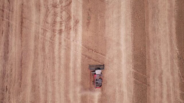 Colheitadeira colhendo soja em fazenda 