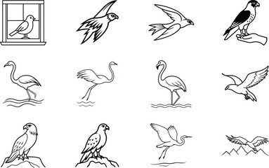 Bird Illustrations Window Pigeon, Falcon, Flamingo, Hawk, Flight