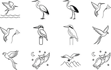 Elegant Line Art Bird Illustrations Herons, Hummingbirds, Owls, and More