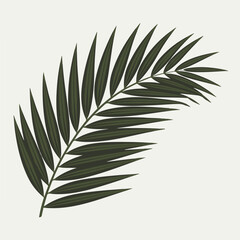A Flat-Style Palm frond on a Plain White Background