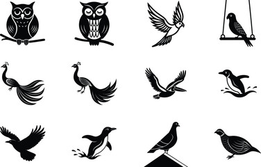 Black and White Bird Illustrations Owls, Peacocks, Penguins, and More