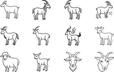 Goat breeds, sheep, drawings, livestock, animals, farm animals, illustrations, line art, caprine, do
