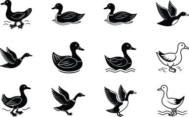 Waterfowl Collection Ducks, Geese, Swimming, Flying, Black Silhouettes