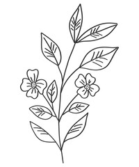 tiny wild flowers and plants line art botanical illustrations. Trendy greenery hand draw lines black ink sketches. vector illustration