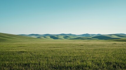 Fototapeta premium Vast Green Landscape with Rolling Hills Under Clear Blue Sky