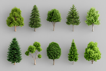 Fototapeta premium 3d realistic green trees collection isolated on white background
