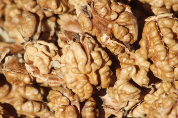Walnut Kernels Close Up