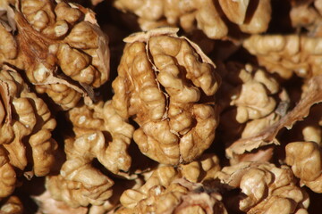 Walnut Kernels Close Up