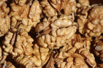 Walnut Kernels Close Up