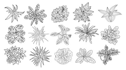 Set of different house plants top view. Cactus, aloe, monstera, palms black line art icons for landscape, architectural, interior design. Hand drawn Vector sketch isolated on transparent background. © Creative_Juice_Art