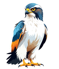 Obraz premium Falcon Vector Art with Vibrant Colour Illustration