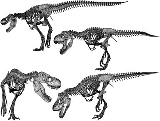 vector sketch of trex dinosaur bone fossil design for display in a museum  © jihan