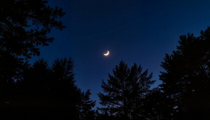 Fototapeta premium Crescent moon and star over dark forest treetops, night tranquility