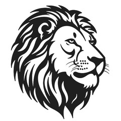 Obraz premium head of a lion head