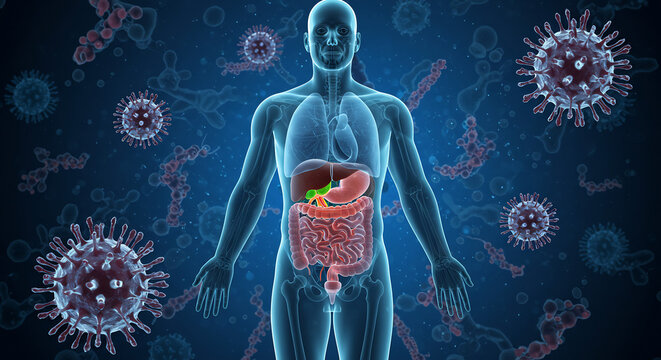 Human Internal Organs and Viruses 3D Medical Illustration