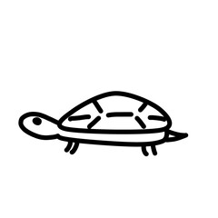 turtle vector illustration