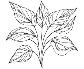 Illustrator Artwork Hand Drawn Vintage Sketch Drawing, green leaves Line Art, Plants Collection branches Floral elements, set of Botanical Illustration Outline leaf, branch Black And White leaves