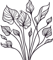 Illustrator Artwork Hand Drawn Vintage Sketch Drawing, green leaves Line Art, Plants Collection branches Floral elements, set of Botanical Illustration Outline leaf, branch Black And White leaves