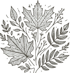 Illustrator Artwork Hand Drawn Vintage Sketch Drawing, green leaves Line Art, Plants Collection branches Floral elements, set of Botanical Illustration Outline leaf, branch Black And White leaves