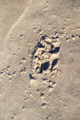 
Brown sand with a footprint.