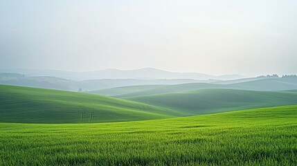 Obraz premium Serene Green Hills Under Soft Morning Light and Misty Sky