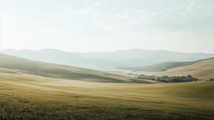 Fototapeta premium Vast Green Landscape with Gentle Rolling Hills Under Soft Light