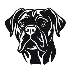 Fototapeta premium head of boxer dog