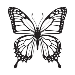 butterfly vector illustration
