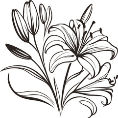 PNG, Hand drawn lilies sketch, lily buds flower, set of flowers vector, illustration outline, botanical black and white line art, lineart leaves and stems in engraving style
