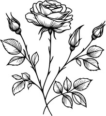 PNG Big set of vintage rose flowers, roses  buds, leaves and stems in engraving style. Hand drawn realistic rosebuds. Decorative vector botanical elements for tattoo, greeting card, wedding invitation