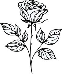 PNG Hand drawn vintage Doodle sketch drawing, rose flower, Collection leaves set of flowers, Botanical illustration outline black and white roses line art, plant buds leaf stem, invitations engraving